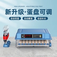 Yiwang Incubator Automatic Egg Incubator Household Type Egg Incubator Small Smart Chicken Incubator