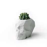 純灰系列 | 無刺王冠龍 幾何骷髏頭水泥仙人掌植栽