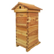 Automatic Flowing Hive Beehive Complete Kit Bee Hives Boxes Starter Kit Wooden Beekeeping HousTz SYE