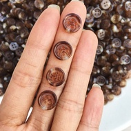 Button, Brown Shirt Button NN790, Size 1 cm