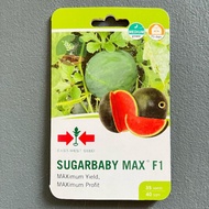 SUGARBABY MAX F1 WATERMELON SEEDS EAST WEST HYBRID PAKWAN SEEDS