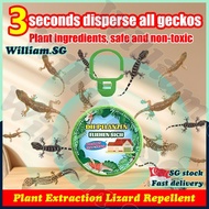 🌵SG stock🌵 Lizard repellent / Plant extraction Gecko repellent / Gecko killer / Gecko trap / Lizard 