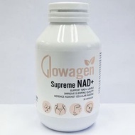 Glowagen NAD+ 諾家因子