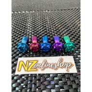 BANJO TITANIUM BOLT BRAKE HOSE