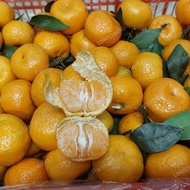 Jeruk Shantang Mandarin Daun 5 Kg