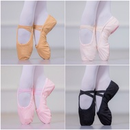Proffessional Examination Ballet Dance Shoes for Adults Children Women Practicing Ballet Soft Sole Leather Dance Shoes