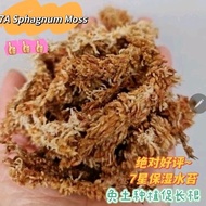📣📣High Quality Sphagnum Moss 7A BEST PRICE  With Zipper Bag