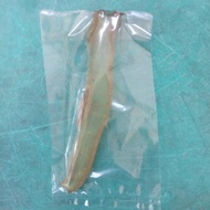 SQ HERBAL- Kulit Warak tinggal goreng Kulit warak melancarkan persalinankulit warak isi 4 Kulit wara