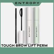 [Entropy makeup] Tough Brow Lift Perm (6-8 times usage) Eyebrows Lifting