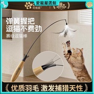 🔥Love Pet Carefully Selected🔥Pet Wisen Race Grade Cat Teasing Stick CFA Steel Wire Replaceable Head 