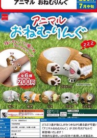 [全6款 日版 可散買] 戒指 動物 貓頭鷹 狗 樹熊 柴犬 貓 松鼠 扭蛋