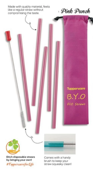 Tupperware Go Eco Straw and Brush Set