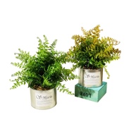 CASSA-B1S032-ต้นไม้ปลอม2ชิ้น