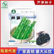 Green Asparagus Seeds Green Asparagus Seeds Balcony Potted Plants Tender Bamboo Bamboo Bamboo Bamboo