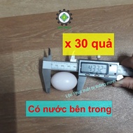 (small eggs) 30 Fake eggs, bait eggs for laying bantam chickens 30TRG-H