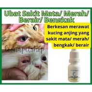 Ubat Mata Kucing Ubat Sakit Mata Untuk Kucing Ubat Mata Bengkak Kucing Ubat Mata Merah Kucing Cat ey