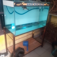 akuarium size 50×80 ikan chana YS 25 CM