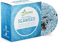 BAMBOEARTH Solid Shampoo Bar And Conditioner Effect Hair Soap – 100% Organic Shampoo Bars For Hair W