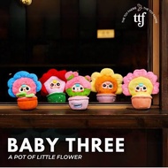 Baby Three Flower BLIND BOX