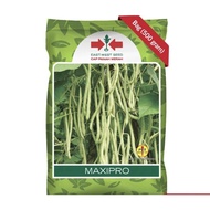 Benih buncis MAXIPRO 500 gram buncis maxi pro dari panah merah