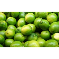 LIMAU NIPIS KAMPUNG (1KG)