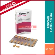 TEBONIN FORTE TABLET 120MG