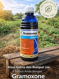 HERBISIDA GRAMOXONE 276 SL – PENGENDALI DAN PEMBASMI GULMA  1L