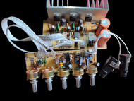 Kit amplifier 2.1 Subwoofer Karaoke 2 Mic TDA2030 TDA2050