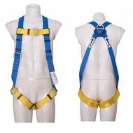 Basic 5 Point Adjustable Full Body Harness, with Dorsal D-ring