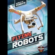 Flying Robots Elizabeth Noll