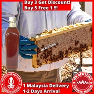 MR BENTONG HONEY Madu Asli Hutan Premium Pure Honey 野蜜蜂蜜 Tualang Kelulut Royale Jelly Sarang Lebah J