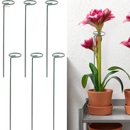 Plant Stakes For Climbing Plant For Flowers Single Rose Flower Stem Easy To Use
