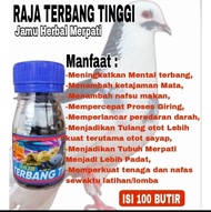 REKOMENDASI!! JAMU MERPATI TERBANG TINGGI keket giring stut door buktikan khasiatnya Raja Doping Mer