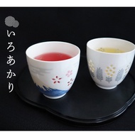 Japan Iroakari Ceramic Tea Cup 200ml Mount Fuji Five-Fold Tower Sea Anemone Water Flower Gift Fujits