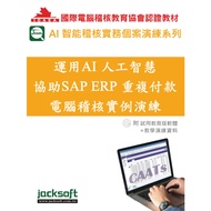 Use AI Artificial Intelligence Assist SAP ERP Repeated Payment Computer Auditivation Example Exercis