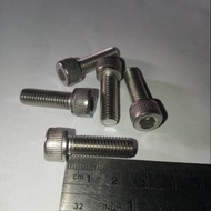 Baut L M8 x 25 (25cm)stainless 304