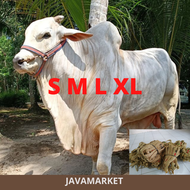 Keluh Brangus Sapi - Tali Keluh Tuntun - Hearnes S M L XL