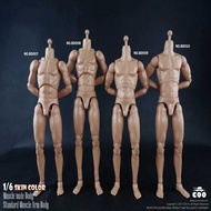 COOMODEL 1/6 Movable Voxel COO Bd001-Bd010 New Muscle Voxel