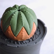 布紋球造型塔香線香座 擺設/收納/3D列印/多肉塊根植物/送禮/盆栽