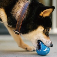 寵物玩具 戶外防水 發聲網球組(4入)