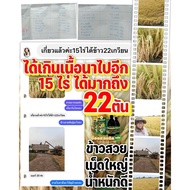 B-Organic Grow B-Organic Plus บีออร์แกนิค 300 CC. อาหารเสริมพืช ของแท้