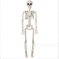 halloween decoration halloween decor Halloween Skeleton Skeleton Haunted House Decoration Skeleton E