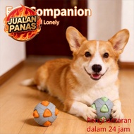 Mainan Anjing Interaktif Bola Squeaky Tahan Gigitan Mainan Haiwan Peliharaan Untuk Anjing & Anak Anj