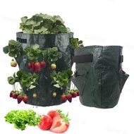 PE Strawberry Planter grow Bags potato pot gardening pots home jardin Flower veg Tomato planting tools Container  SG10B