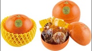 日本🇯🇵代購 MOROZOFF MARUTTO KAWAII FRUITS APPLE ORANGE STRAWBERRY PEACH PEAR 朱古力 白朱古力 酒心朱古力