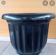 pot hitam eboni  ukuran 60 cm/pot tanaman Gloria  ukuran 60 cm
