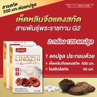 เห็ดหลินจือแดง G2 สกัด 550 มก. (2กล่อง 120 แคป) สารสกัดสูงสุด เข็มข้นกว่า 3-5 เท่า เห็ดหลินจือแคปซูล