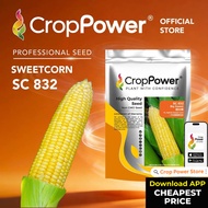(500 GRAM) Biji Benih Jagung Manis Big Sweet 甜大棒  SC832 CROP POWER F1 HYBRID Sweet Corn Seed 甜玉米种子 S