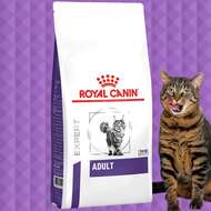Royal Canin Cats - Adult 2kg