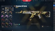 Valorant 冠軍造型 絕版武器